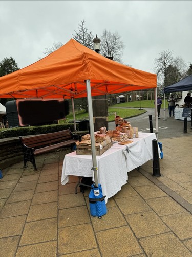 Gala tent orange - tent, pop-up